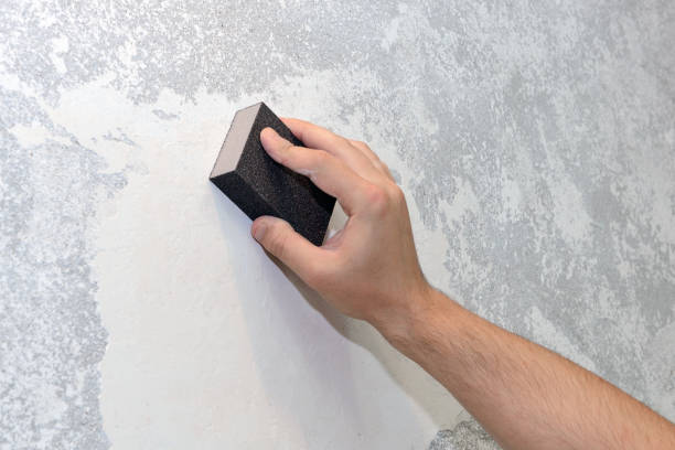 Best Mold-Related Health Consultation  in Cheraw, SC