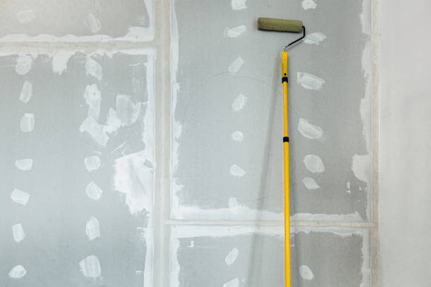 Best Crawl Space Mold Remediation  in Cheraw, SC