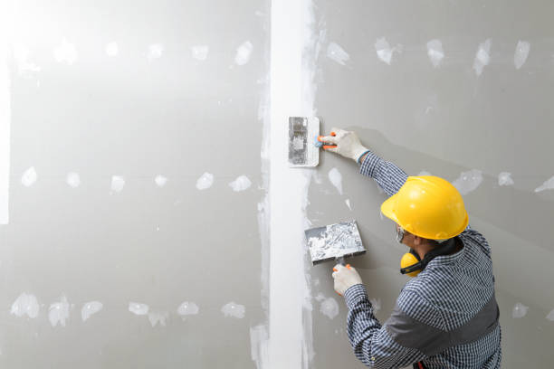 Best Air Quality Testing for Mold Spores  in Cheraw, SC
