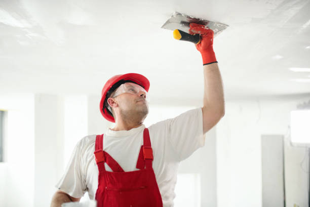 Best Mold Remediation for Healthcare Facilities  in Cheraw, SC