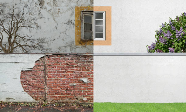 Trusted Cheraw, SC Mold Removal Experts