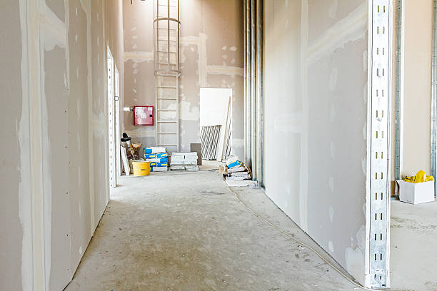  Cheraw, SC Mold Removal Pros